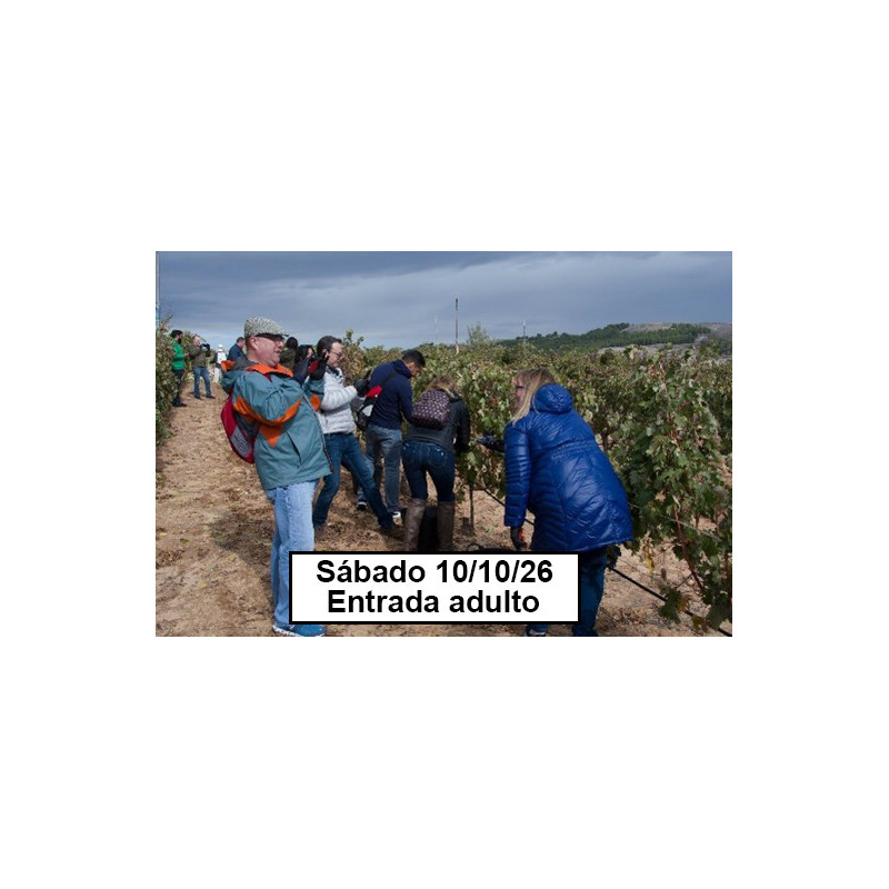 JORNADA DE VENDIMIA - PEÑAFIEL 10 DE OCTUBRE 2026 - ENTRADA ADULTO