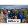 JORNADA DE VENDIMIA - PEÑAFIEL 10 DE OCTUBRE 2026 - ENTRADA ADULTO